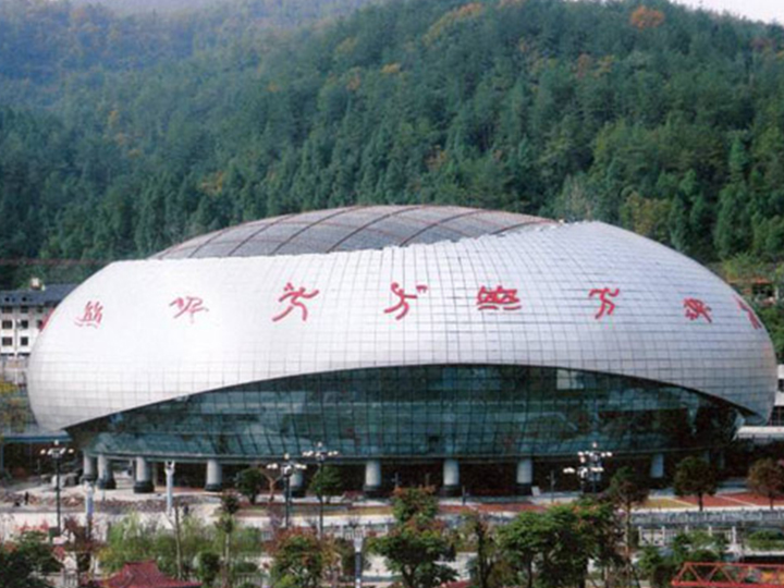 安徽省桐城市體育館網(wǎng)架工程
